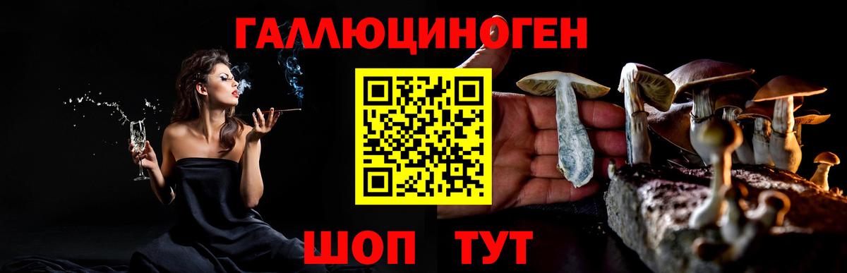 Псилоцибиновые грибы прущие грибы  Вход с VPN  как найти закладки  Псилоцибиновые грибы ЛСД  Волгодонск 